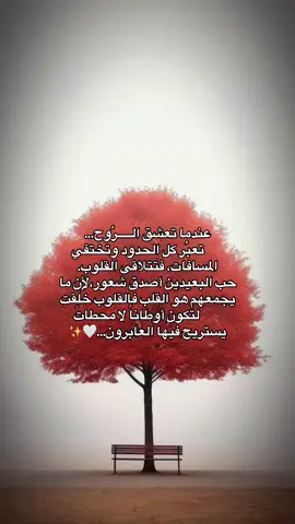 ‏ #عندما تعشق الـــــرُوح... ‏       تعبُر كل الحدود..🤍✨ ♥️#خواطر#CapCut 