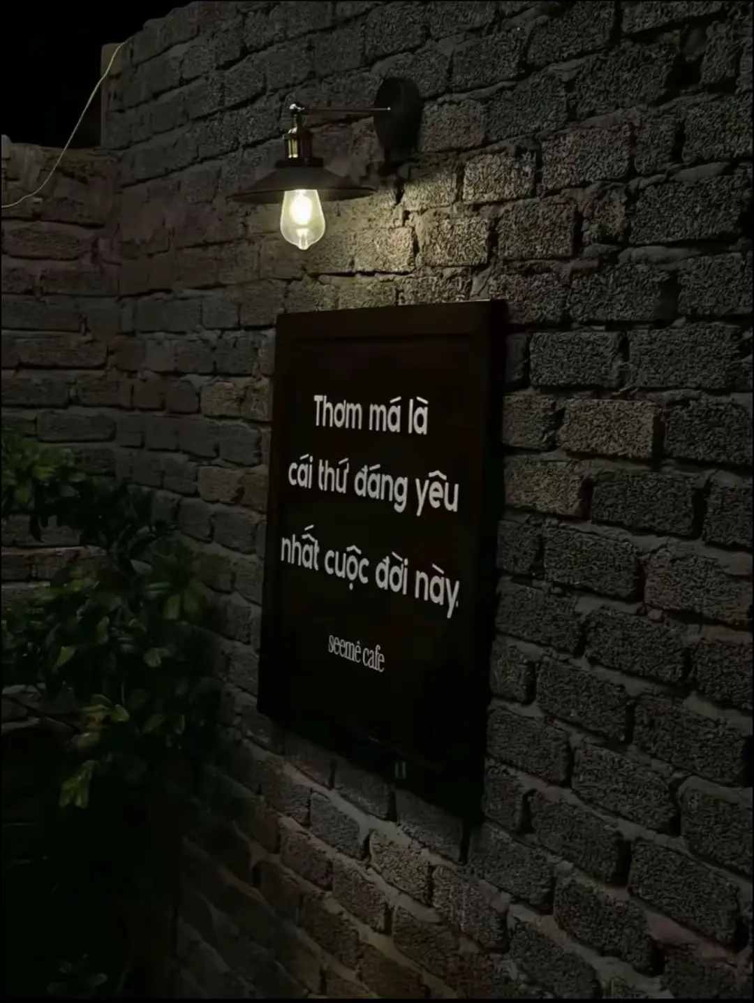 Thơm má là cái thứ đáng iu nhất cuộc đời này#💚 #viral #xhhhhhhhhhhhhhhhhhhhhhhh #thomma #xh 