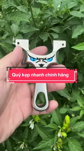 Shop ná tàu cao cấp 