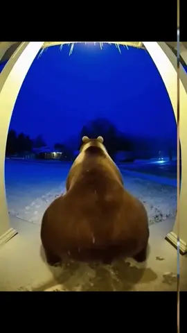 Kondisi terkini mushola PONPES Al Khoziny Sidoarjo ambruk saat salat ashar#jtvjember #evakuasi #sidoarjo #fyp