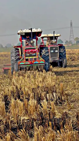 #shoaibmalhi786 #pinda_wale_jatt #fypviralシviral #جٹ_محکمہ @Hassan Bhatti #fouryourpage 