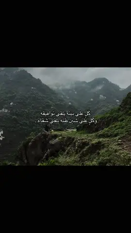 كلٍٍ على نيته يلقى توافيقه#شعر #explore #fyp #مالي_خلق_احط_هاشتاقات 
