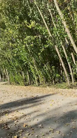 #erbil #slemani #school #kurdistan #karkuk 