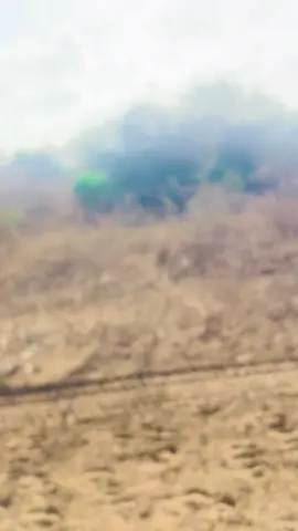 #10k #kutuura #gantaalkamudug 