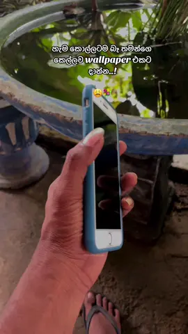 Love ek ❤️‍🩹 #watsappstatus🥀_tiktok_statu #srilankatiktok #srilanka😼❤️🦋 #viralvideo #watsappstatus🥀_tiktok_status 