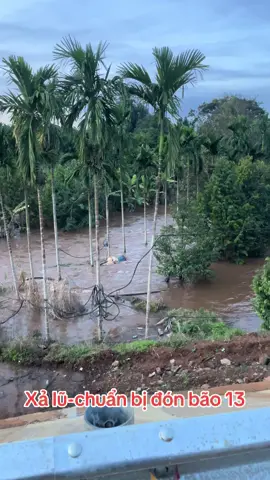 #tranvanhieu0605 #xuhuongtiktok #lulut #