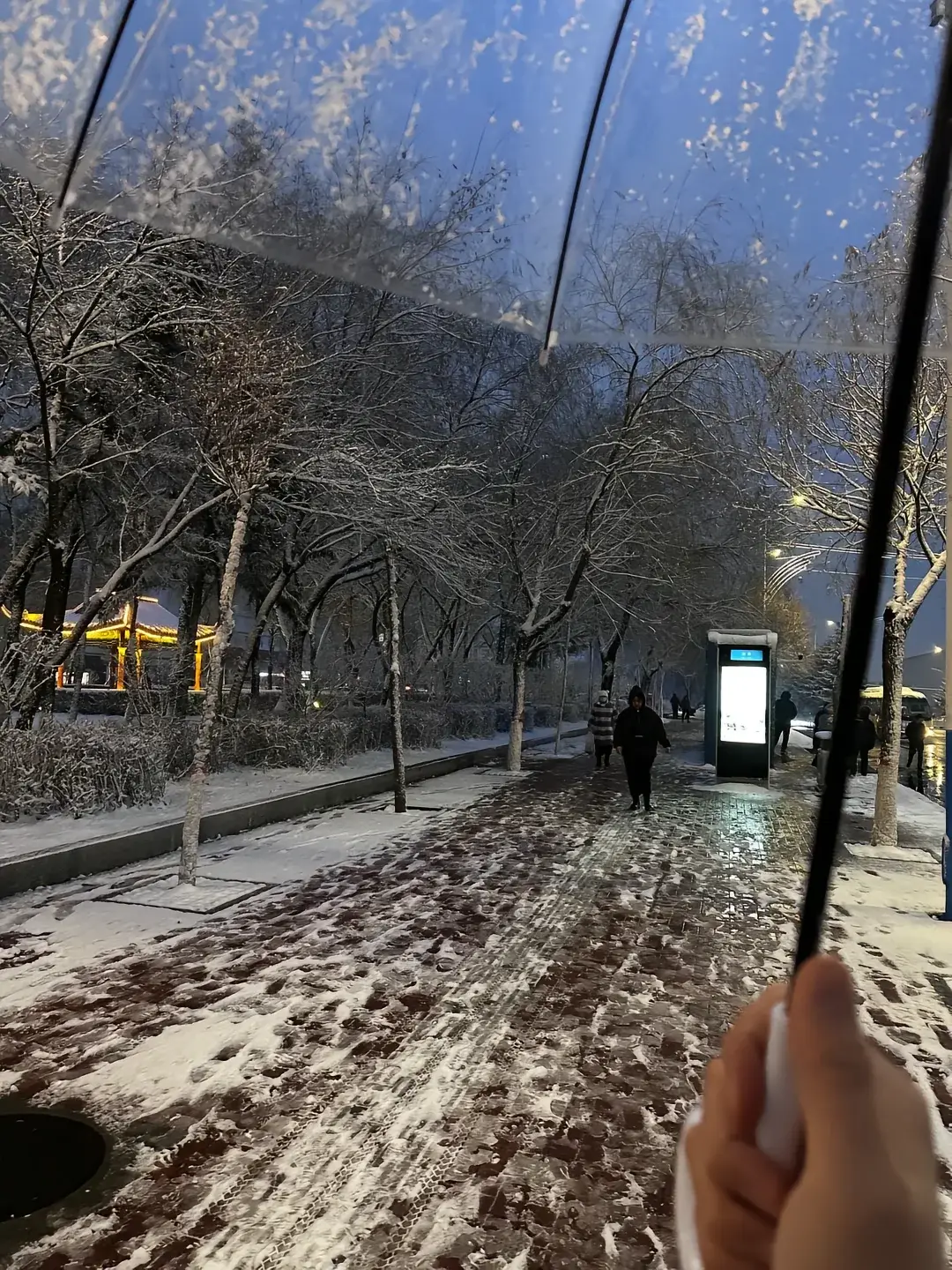 “喜欢一个不爱你的人，就像拥抱一颗仙人掌，越抱越疼……” 