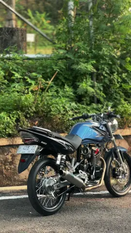 #fyp #tigergank #apikgonmu 