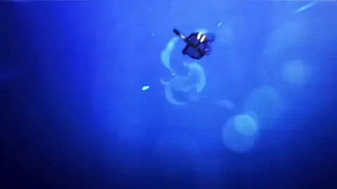 Có những nơi người ta tìm đến để cầu bình an, có những người chỉ cần xuất hiện đã là bình an rồi. Rimuru không phải thần, nhưng vẫn khiến lòng mình lặng lại trong khoảnh khắc. Ở giữa đền xưa, ánh sáng rơi nhẹ lên bờ vai ấy, tựa như cả thế giới đang dịu dàng xoay quanh. Mạnh mẽ, hiền hòa, bao dung — đó là lý do dù thế giới có rộng lớn đến đâu, trái tim mình vẫn chọn ở lại nơi này. #anime #vrial #fyp #rimuru #animeedit 