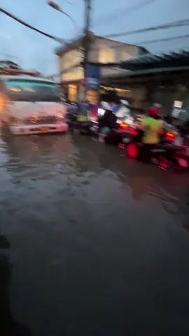 Bình quới #càngdosaucangngap