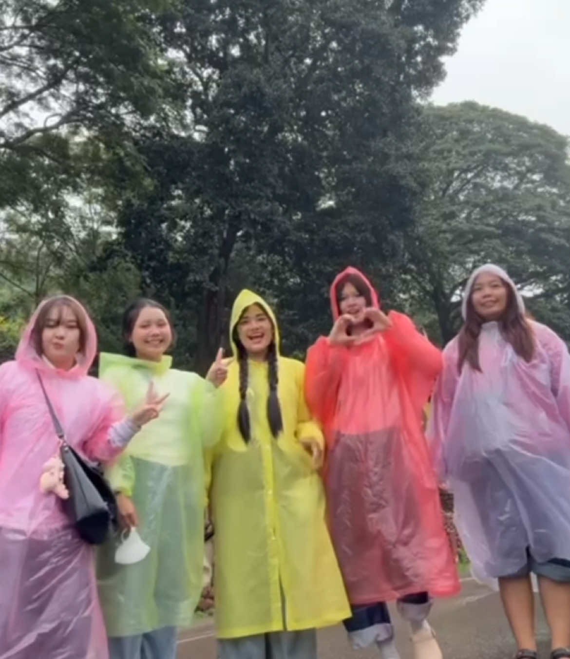 #เขาใหญ่ #ปากช่อง #อุทยานแห่งชาติเขาใหญ่ 