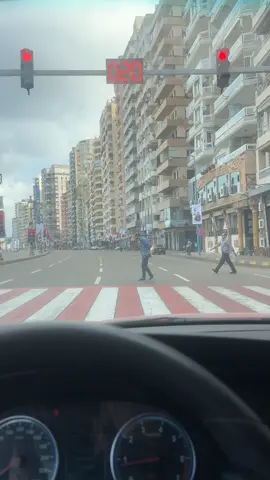 The Crazies of Alexandria #fyp 