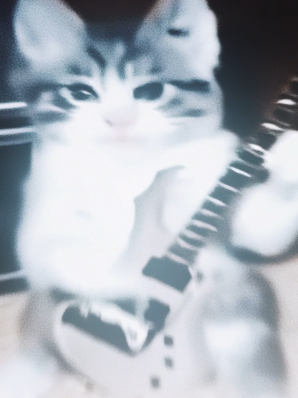 А шо #semetary #sigma #cyclesqd #edit #fyp 