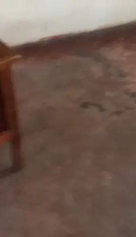 bidyohi ko te #fypppppp #makethisviral #fypmototiktokpls 