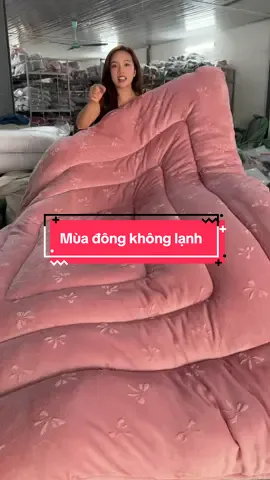 Mùa đông không lạnh #phsgr #xuhuong 