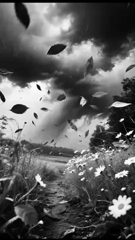 لا تتعب قلبك وانت تنتظر من الناس ان يفهموا حقيقتك  #اقتباسات  #اقتباسات_عبارات_خواطر  #حكم #عبارات_جميلة_وقويه😉🖤 