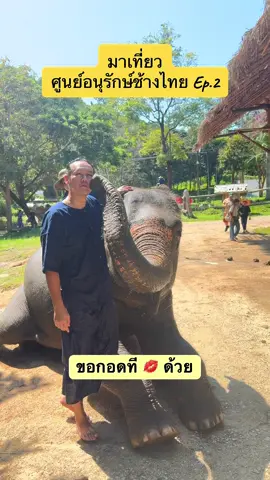 จองคิวอาบน้ำกับสมศรี 😆 พาดำมุดดำว่าย ระดมพ่นน้ำ💦 สนุกมากๆ #thaielephant #thailand #lampang #สมศรี #อาบน้ํา 