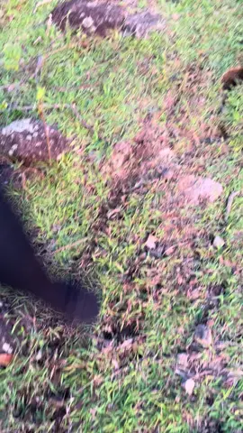 Day 3 View kincir #jelajahalambuminenemallomo #r97garage #trabas #fyp #beranda #foryou #sidrapsulawesiselatan #trabasadventureindonesia #trailsulawesi #ayokesidrap #sidrap📍 #sidrapselatan 