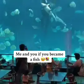 Whenever Out Now🥹💐 #onlyloye 