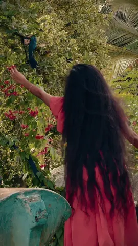 😌😙#CapCut #foryoupage #fyp #foryou #fypシ #tiktoksrilanka #tiktok #trending #viral #onemillionaudition #whatsappstatus #mrs__dili #longervideos 