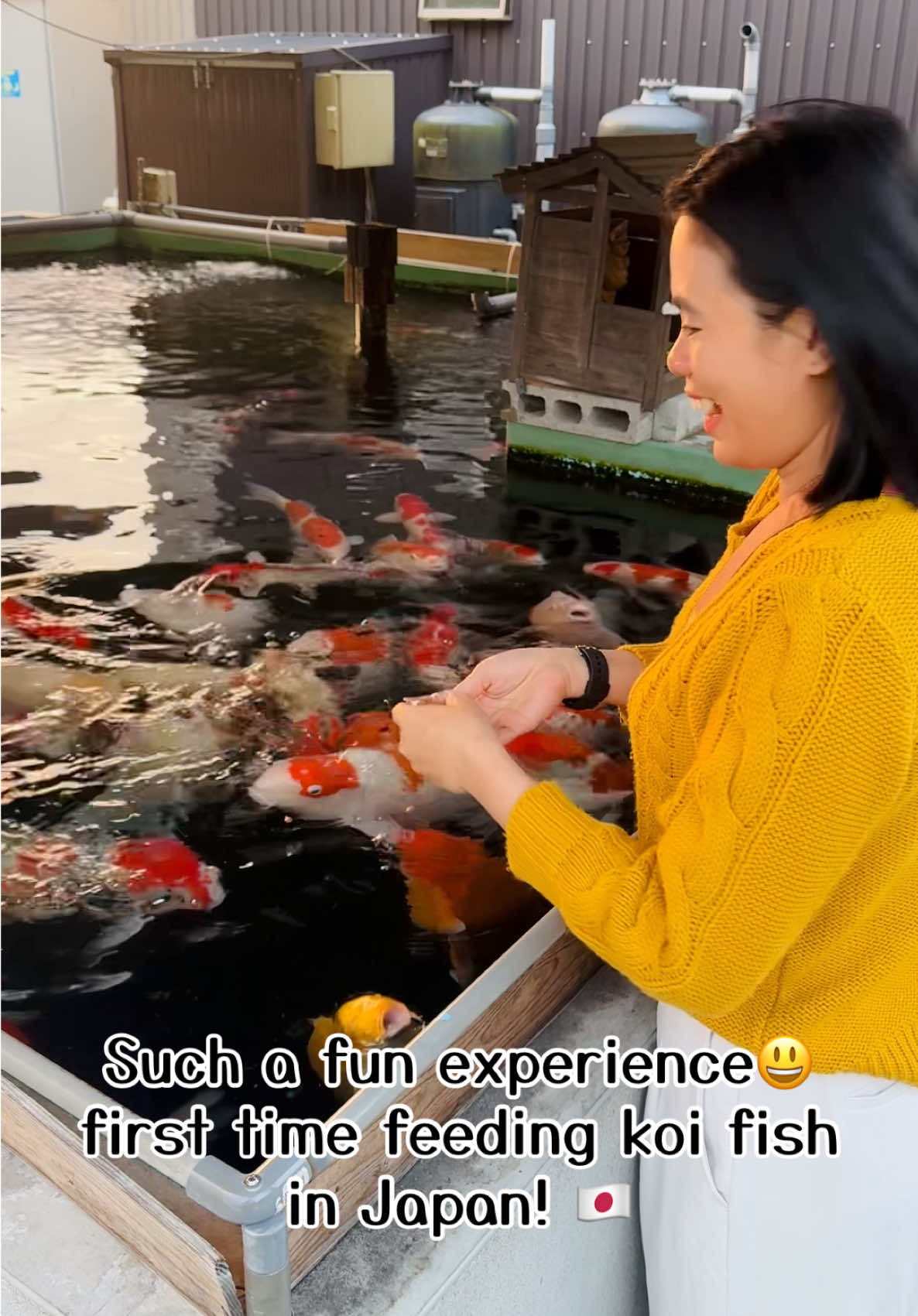 Ang lalaki ng mga koi fish . 😄🙈🫶🏻#foryoupage❤️❤️ #fyppppppppppppppppppppppp #followers😘thanku🙏🙏❤️❤️❤️ #fypシ゚viral🖤tiktok #japantiktok 