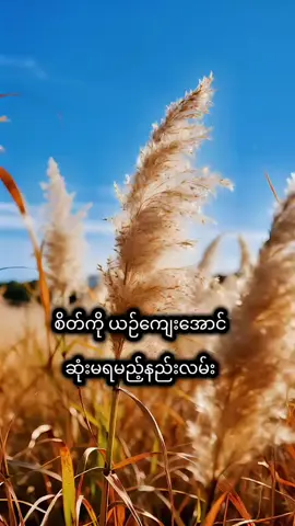 #ပါမောက္ခချုပ်ဆရာတော်ဒေါက်တာနန္ဒမာလာဘိဝံသ #တရားတော်များ #ဓမ္မဒါန #တရားနာယူချင်းဖြင့်စိတ်အေးချမ်းပါစေ🙏🙏🙏 #တရားနာ၍စိတ်ရောကိုယ်ပါအေးချမ်းကြပါစေ😊🙏🌹 