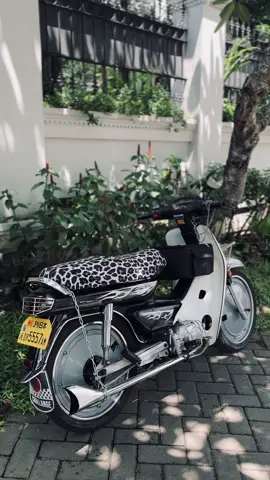 🖤#astreagrand #japanstyle🇯🇵 #kalcer #grandbulus #fyp 