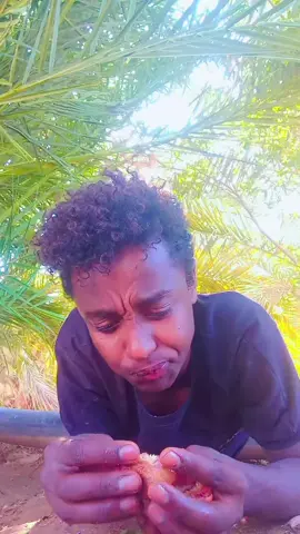 #creatorsearchinsights 