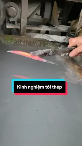 Kinh nghiệm #daophucsenhd #vungcao 