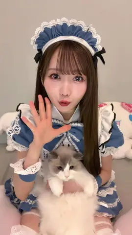 遅刻するよ〜！！お留守番はお任せあれ😼 #自宅警備員 #メイド 