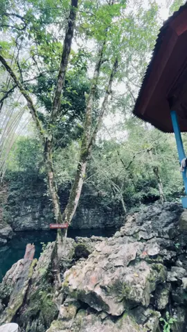 lagi😶‍🌫️                                               #pemandangan #alam #toraja 