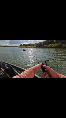 Nancy Reagan type beat #67 #fishing 