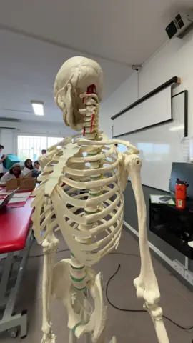 #oscarlebg #likesme #kiné #pourtoi 