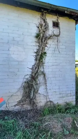 #foryoupage #foryoupage❤️❤️ #ইসলামিক_ভিডিও_🤲🕋🤲 #ইসলামের_পথে_এসো😍 @tiktok creators @For You @TikTok Bangladesh @ইসলামিক ভিডিও 🕋🕋