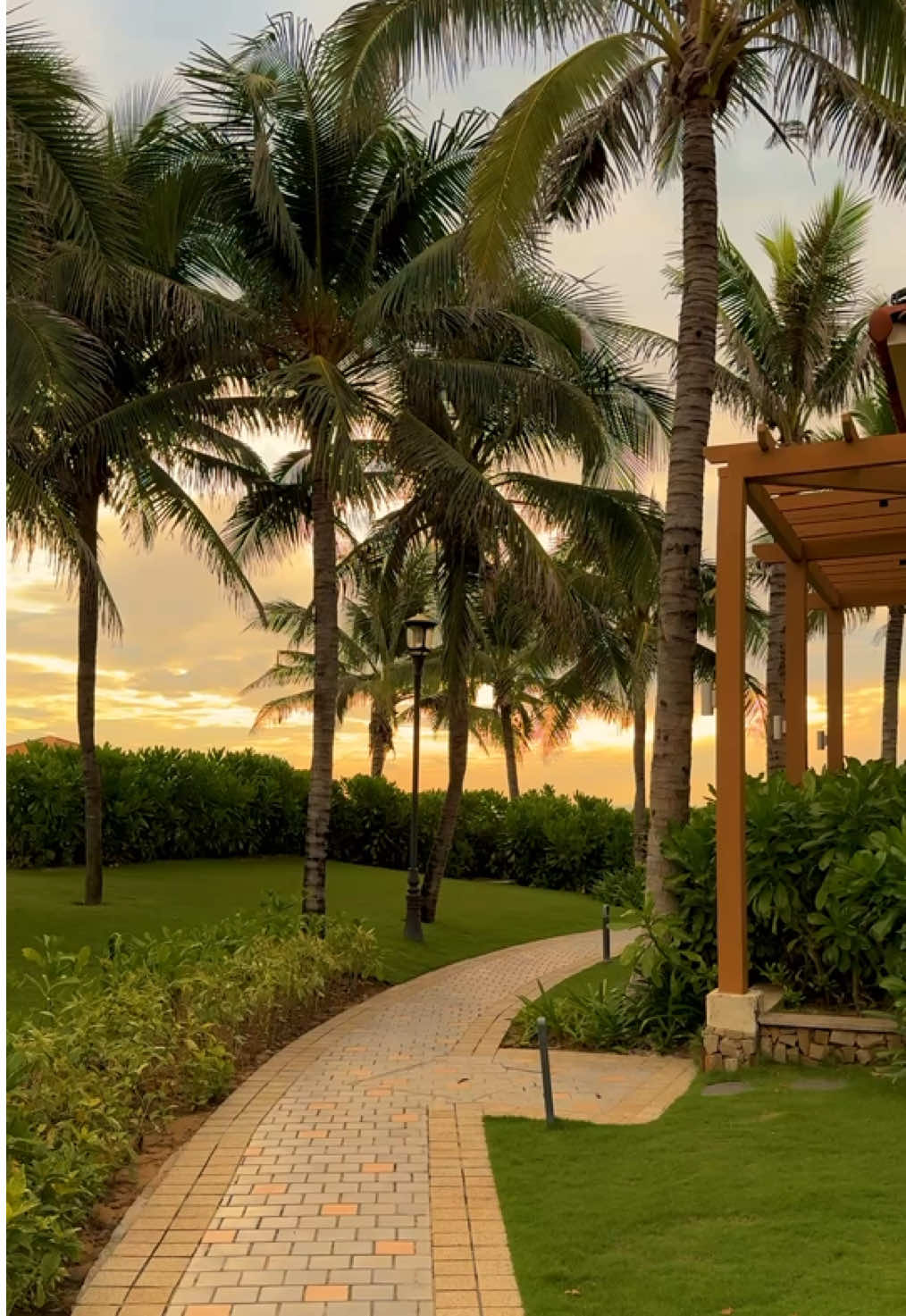 Radisson Resort Phan Thiết - Chiếc resort sẽ khiến bạn muốn quay lại thêm nhiều lần nữa để tận hưởng sự chữa lành và bình yên. _ Radisson Resort Phan Thiet – The resort that will make you want to come back again and again to enjoy peace and healing. #RadissonResortPhanThiet #Beach #Sunset #Healing #fyp