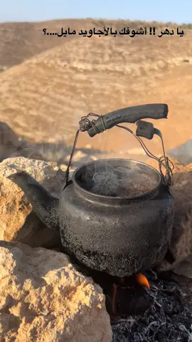 #رافت_الحمايده❤️❤️🌚 #المقناص #البر #الصيد #الوعل 