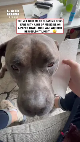 That’s the spot 🤤 🎥 @viralhog #fyp #tiktoker #viral #irishtiktok #ireland #irishhumour #video #videos #irish #funny