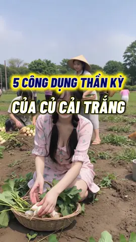 5 công dụng thần kì của củ cải trắng #suckhoe #suckhoechomoinguoi #meosuckhoe