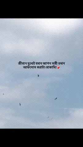 😅💔 #foryou #banglacaption #sadcaption #emotionalvideo #fyp 
