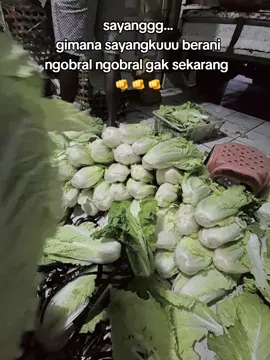 harga mulai ugal ugalan 😅😅 #embunsayur #bakulsayur #sayursegar #fypage #temanggung 