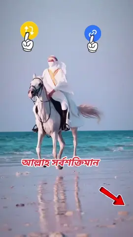 part 138#2025tiktok #foryou #foryoupage #viralv #trendingsound @মোছাঃ মাসেদা বেগম @﷽🕋﷽ 🇧🇩Rezaul Munir  🇦🇪🕋ﷺ @🌹🤲﷽🕋﷽محمد ريبون ميا ﷺ🕋ﷺ🌹 @﷽🕋﷽  Md.imran Hossian ﷺ🕋ﷺ @﷽🕋﷽ Rony islam ﷺ🕋ﷺ 