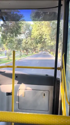 أجمل دخول للجامعه بغداد #جامعه_بغداد 