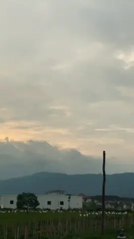 i am back #fyp #foryou #xyzbca #gorgongarage #lokalkendalisodo 