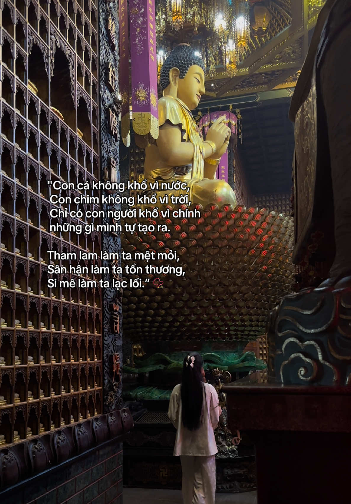 Nam Mô A Di Đà Phật🙏#phapphucdichua #reviewdodichua #dichuamacgi #nammoadidaphat #xh 