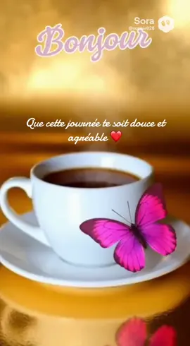 #teamsophie❤️ #viralvideos #seule #fypシ゚ #confiance 