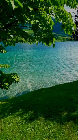 ويمضي بنا العمر ..ولا ندري هل حقا عشنا الحياه .... ام اننا فقط كنا على قيد الحياة... . . . . .#fyp #لايك #تعليق #اكسبلور #متابع 