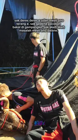 mosok g fyp 😁! @hasannnsr #berandatiktok #suleid94 #alodyrium #fypシ゚ #putrosae 