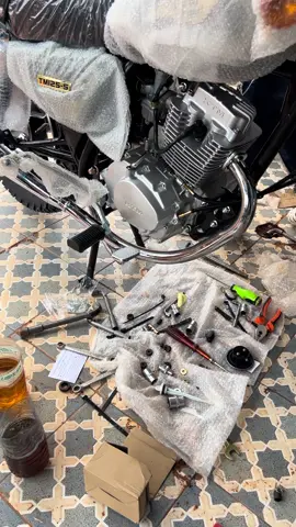 Ablo cool 66 moto 74341704()64280532