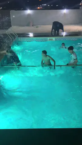 #😂😂😂 #لايكات #البيضاء_الجبل_الاخضر❤🔥💚 #اطربلس🇱🇾مصراته_بنغازي_سرت_درنه_ترهونه🇱🇾 #شعب_الصيني_ماله_حل😂😂 