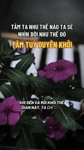 Tâm tùy duyên , duyên nào khởi ta hoan hỷ đón nhận điều đó#ngộ_để_an #phatphapnhiemmau #trending #cliptrieuview #xuhuongtiktok 